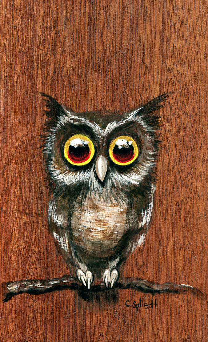 owl816