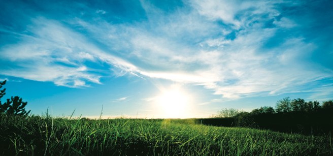 sustain_12-forportfolio13