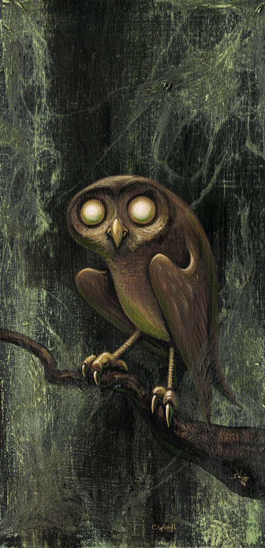 owl034.jpg