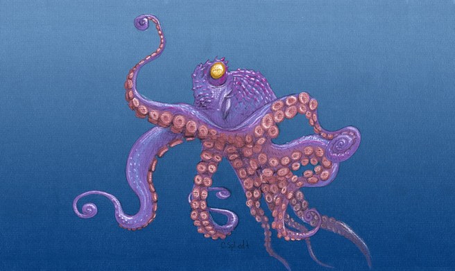 octopuss2