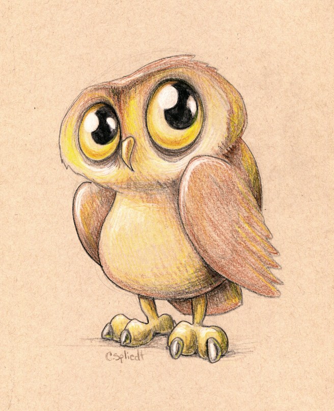 owl-illustration932