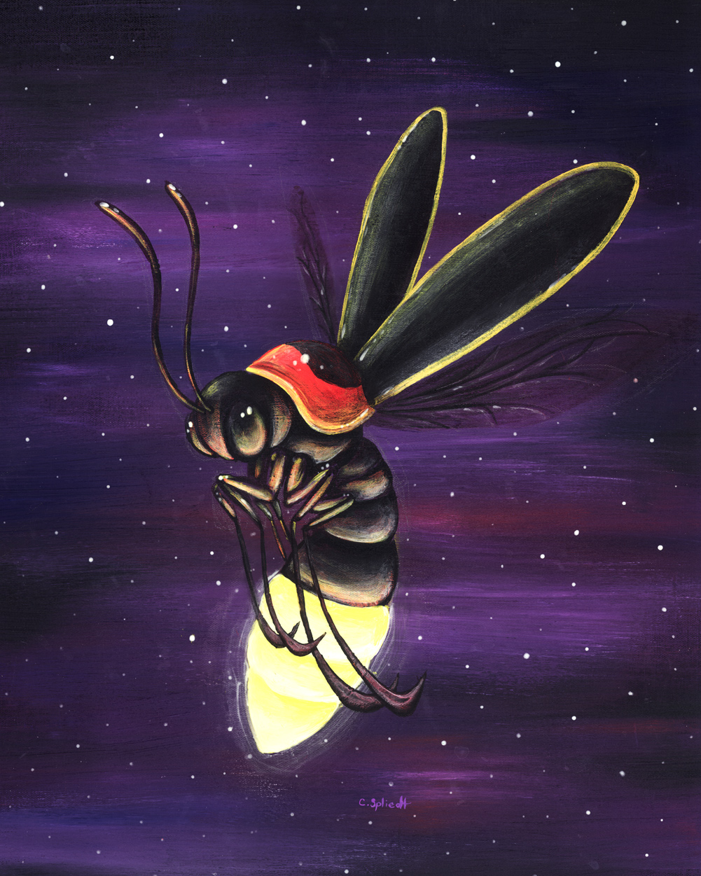 firefly.jpg